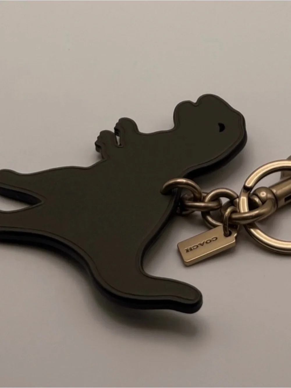 Coach Rexi Charm Keychain